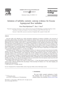 Initiation of turbidity currents: outcrop evidence for Eocene hyperpycnal flow turbidites