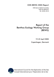 Report of the Benthos Ecology Working Group (BEWG) ICES BEWG 2005 Report