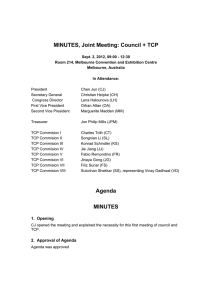 MINUTES, Joint Meeting: Council + TCP