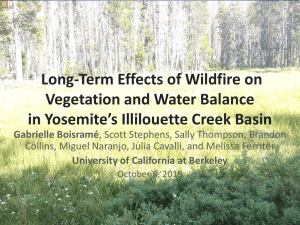 Long-Term Effects of Wildfire on Vegetation and Water Balance