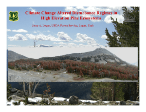 Climate Change Altered Disturbance Regimes in High Elevation Pine Ecosystems