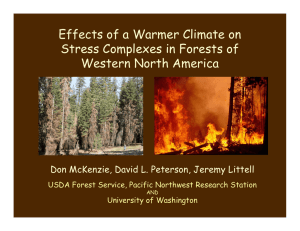 Effects of a Warmer Climate on Stress Complexes in Forests of