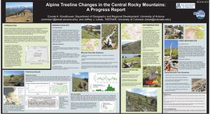 Alpine Treeline Changes in the Central Rocky Mountains: A Progress Report