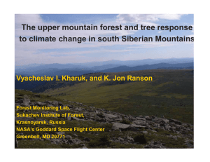 The upper mountain forest and tree response y
