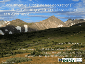 Recruitment of subalpine tree populations altitudinal range