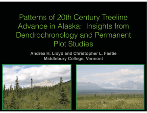 Patterns of 20th Century Treeline Advance in Alaska:  Insights from