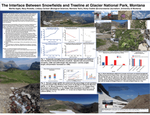 The Interface Between Snowfields and Treeline at Glacier National Park,...