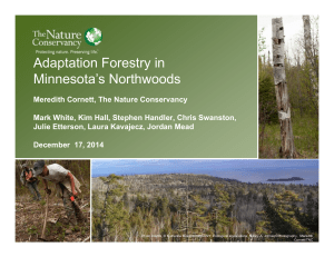 Adaptation Forestry in Minnesota’s Northwoods