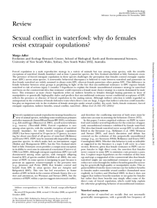 Review Sexual conflict in waterfowl: why do females resist extrapair copulations?