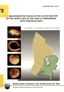 MACROBENTHIC  FAUNA  IN THE  DUTCH  SECTOR