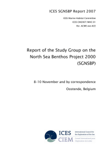 Report of the Study Group on the (SGNSBP) ICES SGNSBP Report 2007
