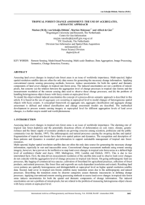 TROPICAL FOREST CHANGE ASSESSMENT: THE USE OF AGGREGATES, A SEMANTIC APPROACH