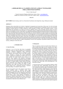 A HIERARCHICAL CLASSIFICATON OF LANDSAT TM IMAGERY FOR LANDCOVER MAPPING