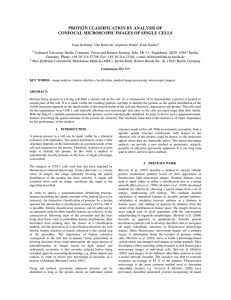 PROTEIN CLASSIFICATION BY ANALYSIS OF CONFOCAL MICROSCOPIC IMAGES OF SINGLE CELLS