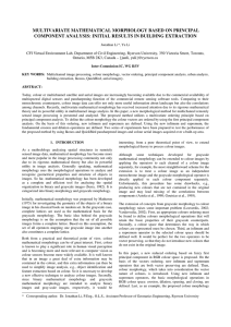 MULTIVARIATE MATHEMATICAL MORPHOLOGY BASED ON PRINCIPAL