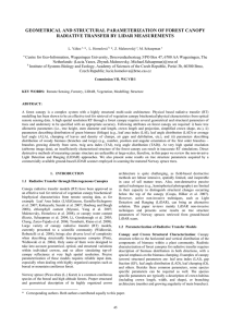 GEOMETRICAL AND STRUCTURAL PARAMETERIZATION OF FOREST CANOPY