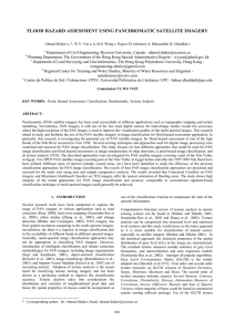 FLOOD HAZARD ASSESSMENT USING PANCHROMATIC SATELLITE IMAGERY