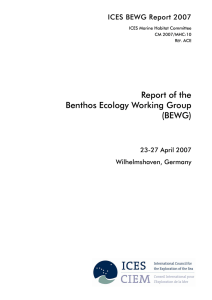 Report of the Benthos Ecology Working Group (BEWG) ICES BEWG Report 2007