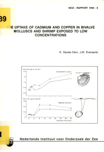IE  UPTAKE  OF  CADMIUM  AND ... MOLLUSCS  AND  SHRIMP  EXPOSED  TO ... CONCENTRATIONS