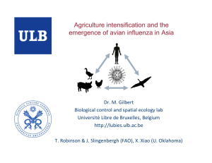 Agriculture intensification and the emergence of avian influenza in Asia