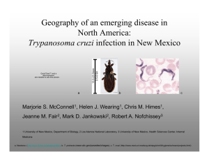Geography of an emerging disease in North America: Trypanosoma cruzi