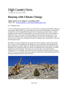 Dancing with Climate Change