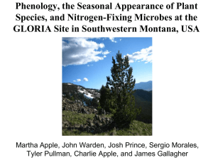 Phenology, the Seasonal Appearance of Plant