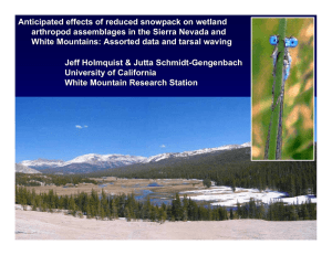 Anticipated effects of reduced snowpack on wetland