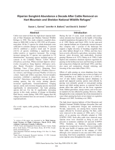 Riparian Songbird Abundance a Decade After Cattle Removal on