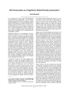 Bird Conservation as a Flagship for Global Diversity Conservation David Brackett _______________________________________