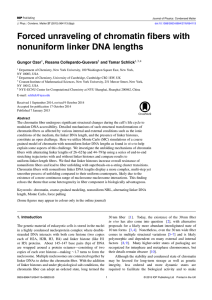 Forced unraveling of chromatin fibers with nonuniform linker DNA lengths Gungor Ozer