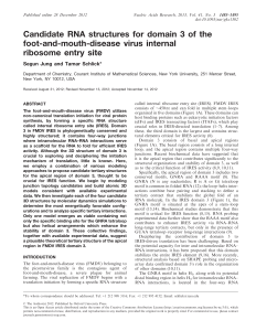 Candidate RNA structures for domain 3 of the foot-and-mouth-disease virus internal