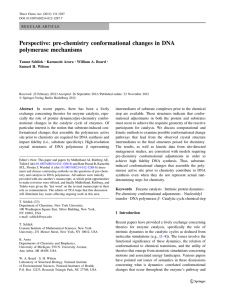 Perspective: pre-chemistry conformational changes in DNA polymerase mechanisms Tamar Schlick