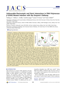 Unfavorable Electrostatic and Steric Interactions in DNA Polymerase