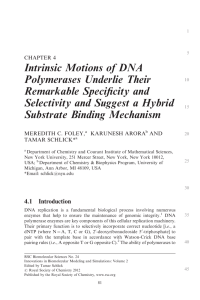 Intrinsic Motions of DNA Polymerases Underlie Their Remarkable Speciﬁcity and