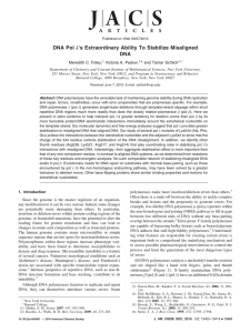 λ DNA Meredith C. Foley, Victoria A. Padow,