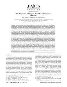 DNA Polymerase Catalysis: Are Different Mechanisms Possible? β