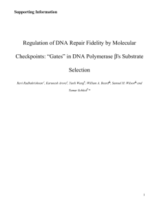 Regulation of DNA Repair Fidelity by Molecular Selection β's Substrate