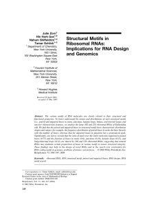 Structural Motifs in Ribosomal RNAs: Implications for RNA Design and Genomics