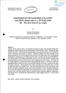 POSTSMOLTS OF RANCHED ATLANTIC SALMON L.) IN ICELAND: 111. The first food of