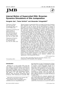 Internal Motion of Supercoiled DNA: Brownian Dynamics Simulations of Site Juxtaposition
