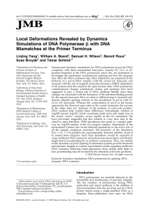 Local Deformations Revealed by Dynamics Mismatches at the Primer Terminus