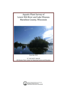 Aquatic Plant Survey of Lower Rib River and Lake Wausau