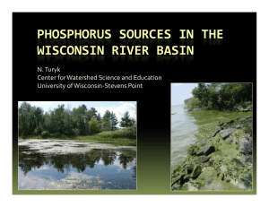 PHOSPHORUS SOURCES IN THE  WISCONSIN RIVER BASIN N. Turyk  Center for Watershed Science and Education
