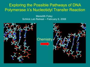 Exploring the Possible Pathways of DNA λ’s Nucleotidyl Transfer Reaction Polymerase Chemistry