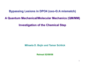 Bypassing Lesions in DPO4 (oxo-G:A mismatch) A Quantum Mechanical/Molecular Mechanics (QM/MM)