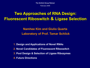 &amp; Two Approaches of RNA Design: Fluorescent Riboswitch Ligase Selection