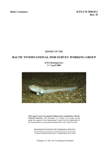 BALTIC INTERNATIONAL FISH SURVEY WORKING GROUP ICES CM 2000 Ref.: D