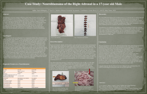 Case Study: Neuroblastoma of the Right Adrenal in a 17-year...