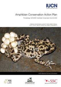 Amphibian Conservation Action Plan Proceedings: IUCN/SSC Amphibian Conservation Summit 2005
